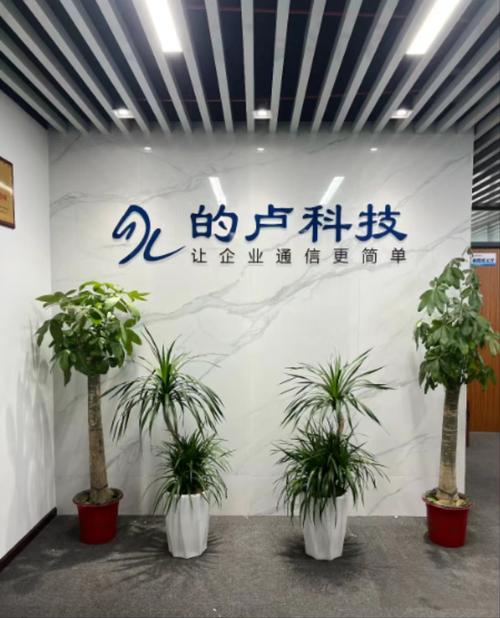 湖北的卢科技 深耕信息系统集成，赋能数字化转型新篇章